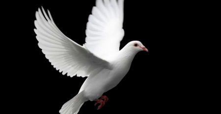 The Spiritual Life in Christ The Spiritual Life in Christ